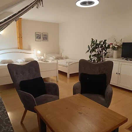 Guest house V Podzamci 3*