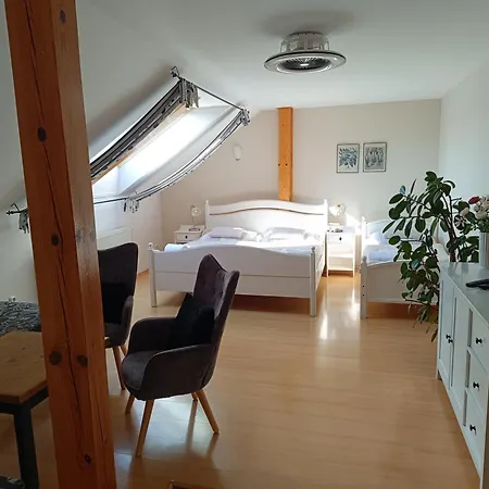 V Podzámčí Affittacamere Litomyšl