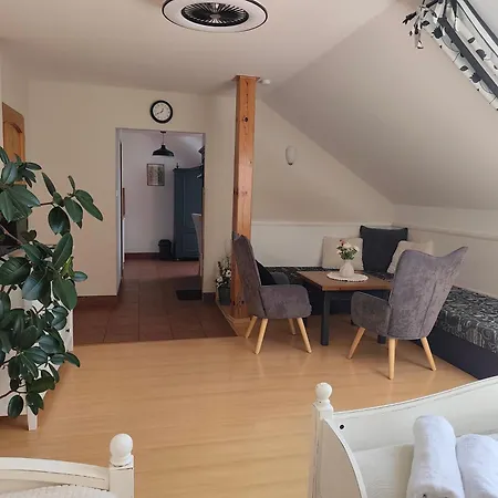 V Podzámčí Casa de hóspedes Litomyšl